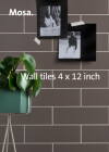 Wall Tiles 4x12 Inch