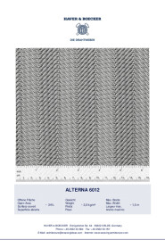 Data Sheet: HAVER Architectural Mesh ALTERNA 6012