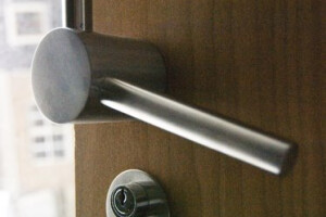 Door handle "VAULT"