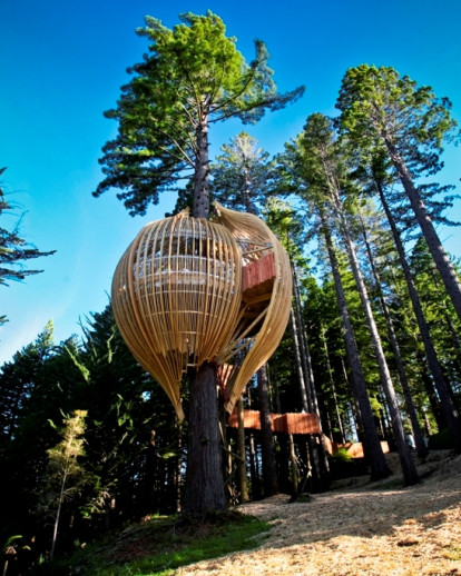 Treehouse Restaurant Inspired By Nature