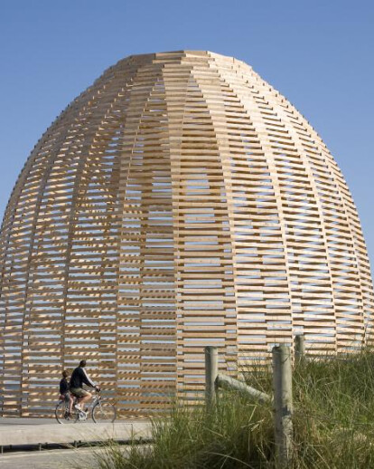 Wood Dome