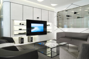 Residential Livingroom Glass TV Solution
