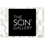 The SCIN Gallery