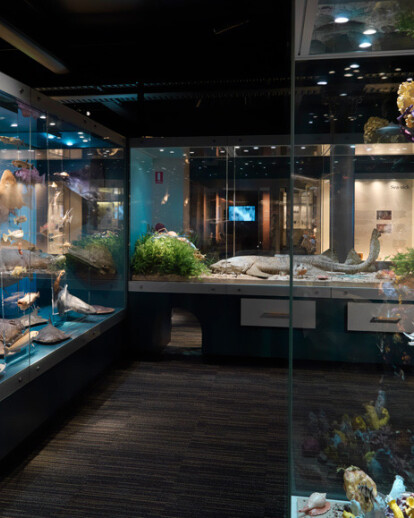 South Australian Museum Biodiversity Gallery