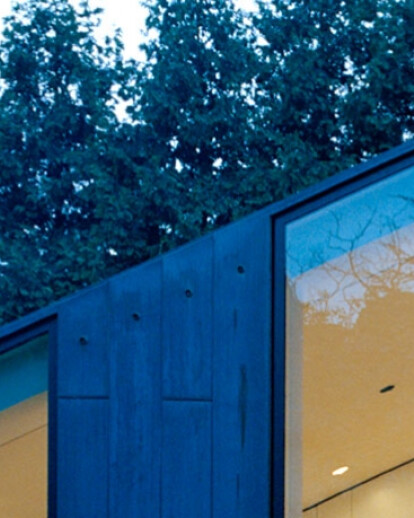 Haus W - Case study facade