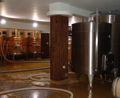 the wine cellar