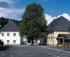 Village Square Zweinitz