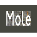 Mole Architects