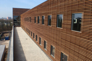 SafeWood® select fire retardant treated wood cladding