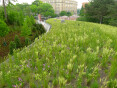 Brooklyn Botanic Garden Visitor Center