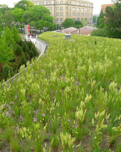 Brooklyn Botanic Garden Visitor Center