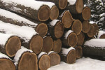 Timber & Logs