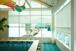 Roller Shades FR by Hunter Douglas Contract