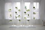 Vertical Hydroponic Garden