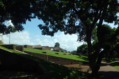 New Green Roof