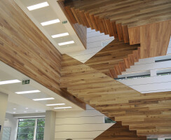 Cantileverd Staircase