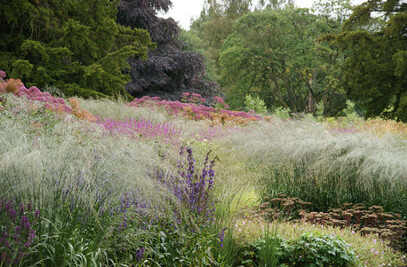 Ecological Garden - Berlin