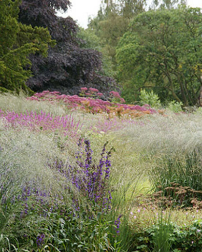 Ecological Garden - Berlin