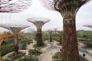 Gardens by the Bay