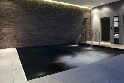 Basement pool with spa features