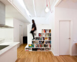 Integrated Bookshelves