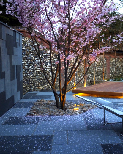 Contemporary Japanese Garden