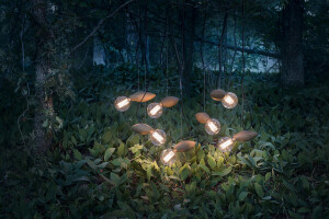 Swarm Lamp