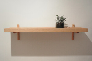 Perch Shelves