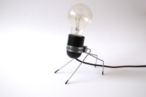 Bug Light – Your First Pet Lamp