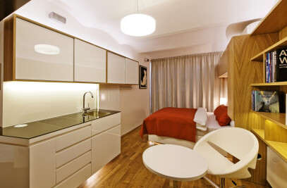 Studio apartment in Brno