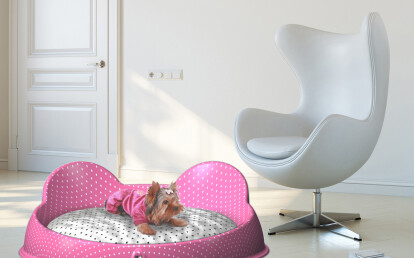 DDplus pet bed