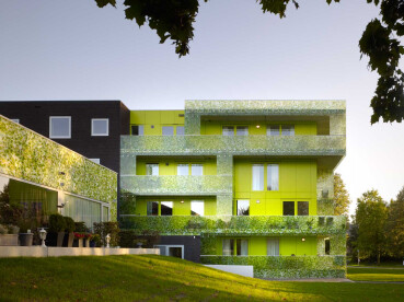 Green-skinned building