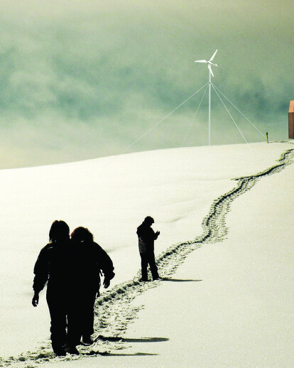 Minimum living in the Alps