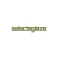 Selectaglaze Ltd