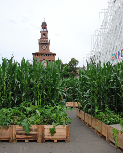 A pop-up field in the centre of the city