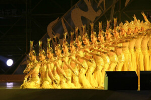  QIANG SHOU GUAN YIN EXHIBITION  LIGHTING SHOW