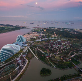 Gardens by the Bay