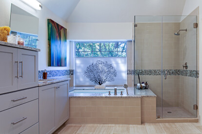 Master Bathroom Remodel