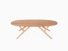 M29  Branch Coffee Table