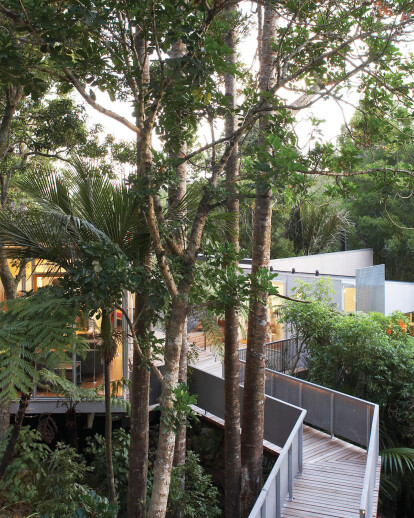 McCahon Artists Residence