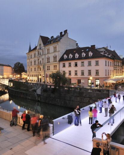 Footbridge Ribja brv.