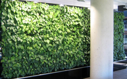 Elmich Green Wall