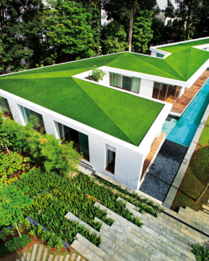 Zig Zag House