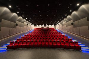 Skagen Cinema