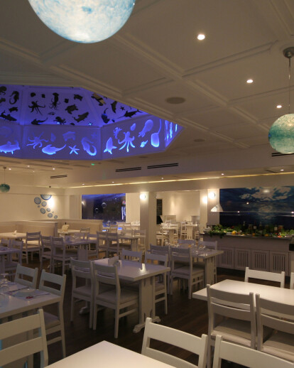 Mediterranean Restaurant | Something Fishy | Limassol | 2011