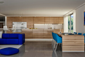 ContemporarY Kitchen Design