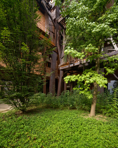 “25 Green” : a  house among  trees  