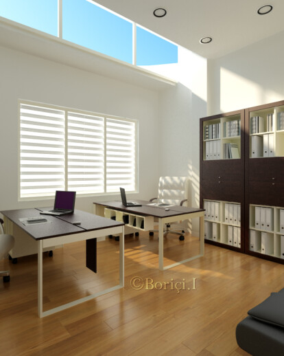 Office building, interior project