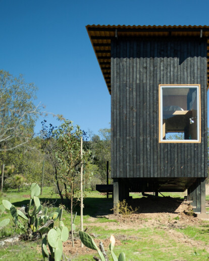 Charred Cabin