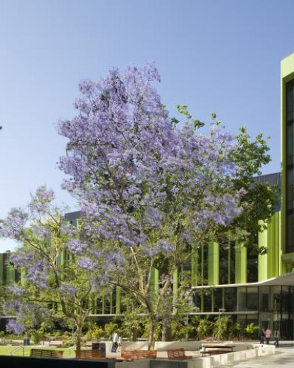 UNSW Lowy Cancer Reasearch Centre